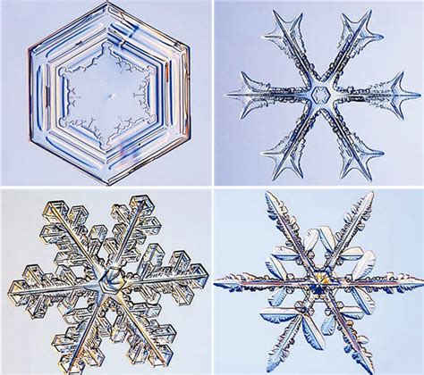 農曆6月20日 雪花的結晶體是屬於哪一種美的形式原理原則？